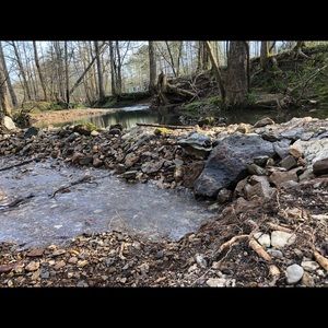 Meet your Posher, Lesley